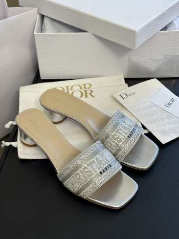 Dior Dway heeled slide gray 5cm