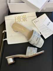 Dior Dway heeled slide gray 5cm - 3