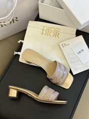 Dior Dway heeled slide 5cm - 2