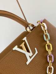 Louis Vuitton Capucines in brown 31.5×20×11cm - 2