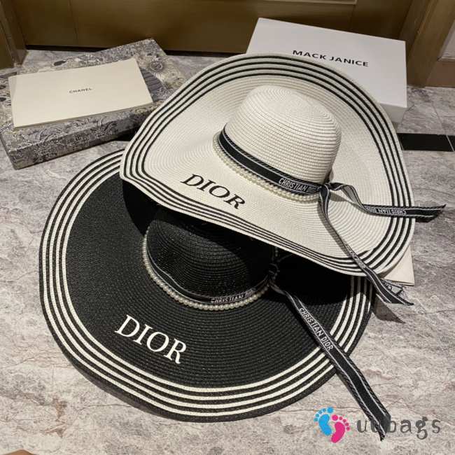 Dior Hat H0004 - 1