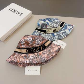 Dior Hat H0005 2 colors