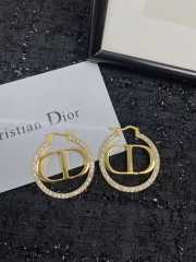 Dior Earrings E0004 - 1