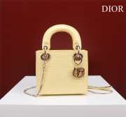 Dior M0505-Lady Yellow 17x15x7cm - 1