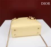 Dior M0505-Lady Yellow 17x15x7cm - 5