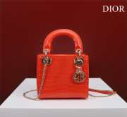 Dior M0505-Lady Orange 17x15x7cm - 1