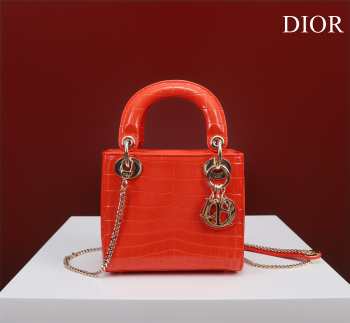 Dior M0505-Lady Orange 17x15x7cm