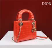 Dior M0505-Lady Orange 17x15x7cm - 2