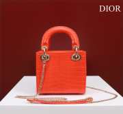 Dior M0505-Lady Orange 17x15x7cm - 4