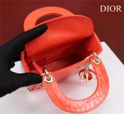 Dior M0505-Lady Orange 17x15x7cm - 6