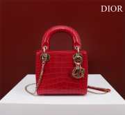 Dior M0505-Lady red 17x15x7cm - 1