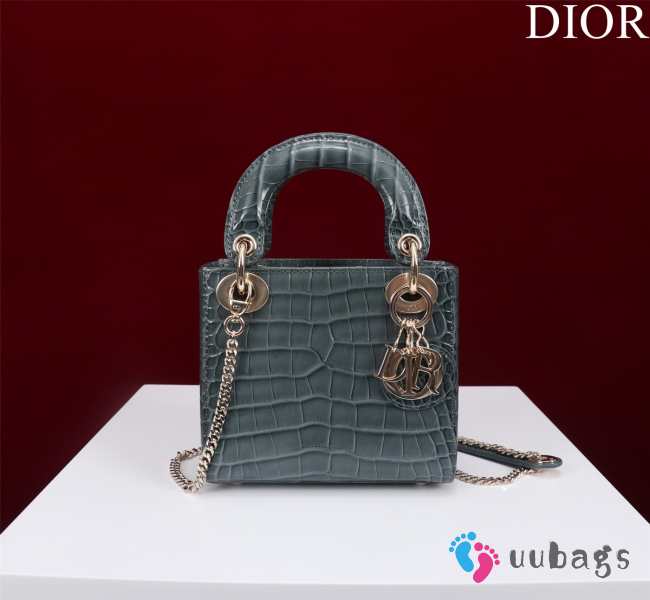 Dior M0505-Lady Gray 17x15x7cm - 1