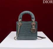 Dior M0505-Lady Gray 17x15x7cm - 1