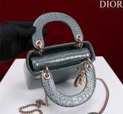 Dior M0505-Lady Gray 17x15x7cm - 2