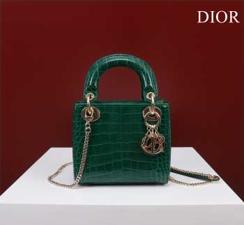 Dior M0505-Lady with gold buckle Green 17x15x7cm