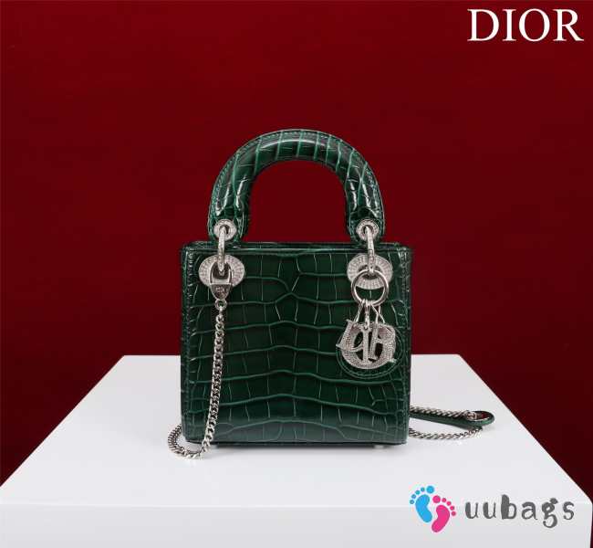 Dior M0505-Lady with silver buckle Green 17x15x7cm - 1