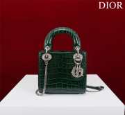 Dior M0505-Lady with silver buckle Green 17x15x7cm - 1