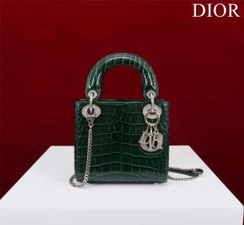 Dior M0505-Lady with silver buckle Green 17x15x7cm