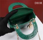 Dior M0505-Lady with silver buckle Green 17x15x7cm - 3