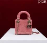 Dior M0505-Lady Gold buckle Pink 17x15x7cm - 1