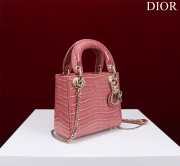 Dior M0505-Lady Gold buckle Pink 17x15x7cm - 5