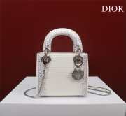 Dior M0505-Lady White 17x15x7cm - 1