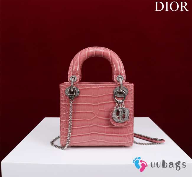 Dior M0505-Lady with Silver Buckle Pink 17x15x7cm - 1