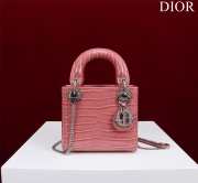 Dior M0505-Lady with Silver Buckle Pink 17x15x7cm - 1