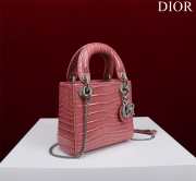 Dior M0505-Lady with Silver Buckle Pink 17x15x7cm - 5