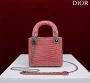 Dior M0505-Lady with Silver Buckle Pink 17x15x7cm - 4