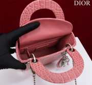 Dior M0505-Lady with Silver Buckle Pink 17x15x7cm - 2