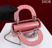 Dior M0505-Lady with Silver Buckle Pink 17x15x7cm - 3