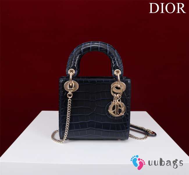 Dior M0505-Lady with gold buckle Black 17x15x7cm - 1