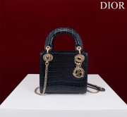 Dior M0505-Lady with gold buckle Black 17x15x7cm - 1