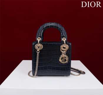 Dior M0505-Lady with gold buckle Black 17x15x7cm