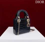 Dior M0505-Lady with gold buckle Black 17x15x7cm - 2