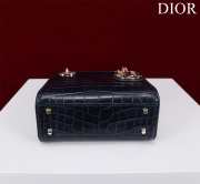 Dior M0505-Lady with gold buckle Black 17x15x7cm - 4