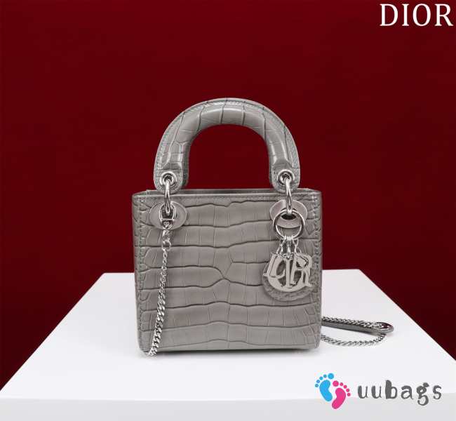 Dior M0505-Lady with silver buckle Gray 17x15x7cm - 1