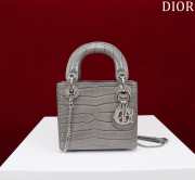 Dior M0505-Lady with silver buckle Gray 17x15x7cm - 1