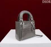 Dior M0505-Lady with silver buckle Gray 17x15x7cm - 6