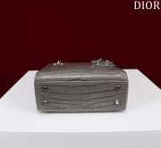 Dior M0505-Lady with silver buckle Gray 17x15x7cm - 5