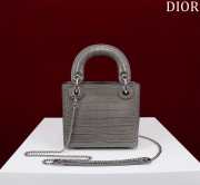 Dior M0505-Lady with silver buckle Gray 17x15x7cm - 4