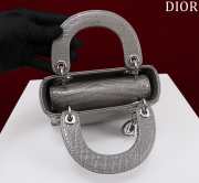 Dior M0505-Lady with silver buckle Gray 17x15x7cm - 3