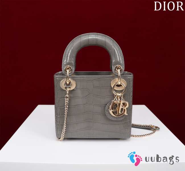 Dior M0505-Lady with gold buckle Gray 17x15x7cm - 1