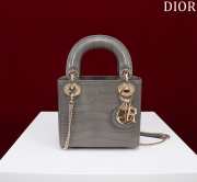 Dior M0505-Lady with gold buckle Gray 17x15x7cm - 1