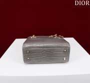 Dior M0505-Lady with gold buckle Gray 17x15x7cm - 6