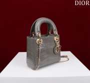 Dior M0505-Lady with gold buckle Gray 17x15x7cm - 5