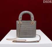 Dior M0505-Lady with gold buckle Gray 17x15x7cm - 4