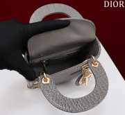 Dior M0505-Lady with gold buckle Gray 17x15x7cm - 3