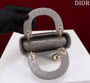 Dior M0505-Lady with gold buckle Gray 17x15x7cm - 2